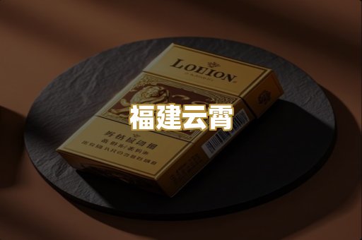 福建云霄